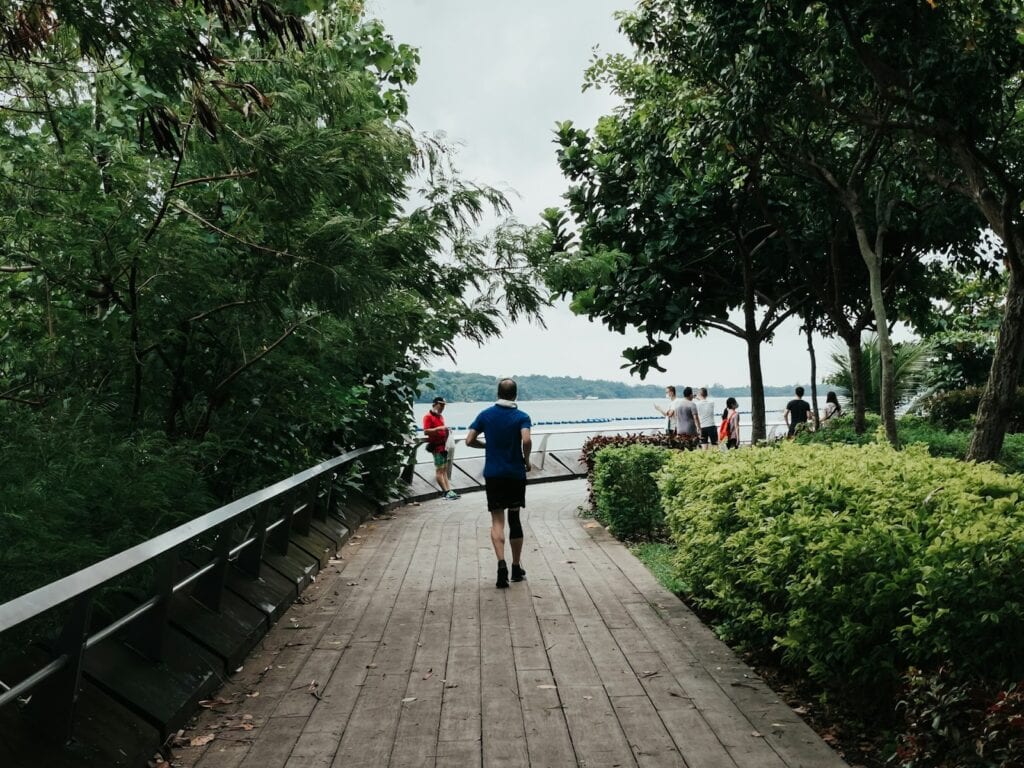 便秘怎麼辦
https://unsplash.com/photos/people-walking-on-wooden-pathway-during-daytime-kT0UDQjRKfs?utm_content=creditCopyText&utm_medium=referral&utm_source=unsplash
