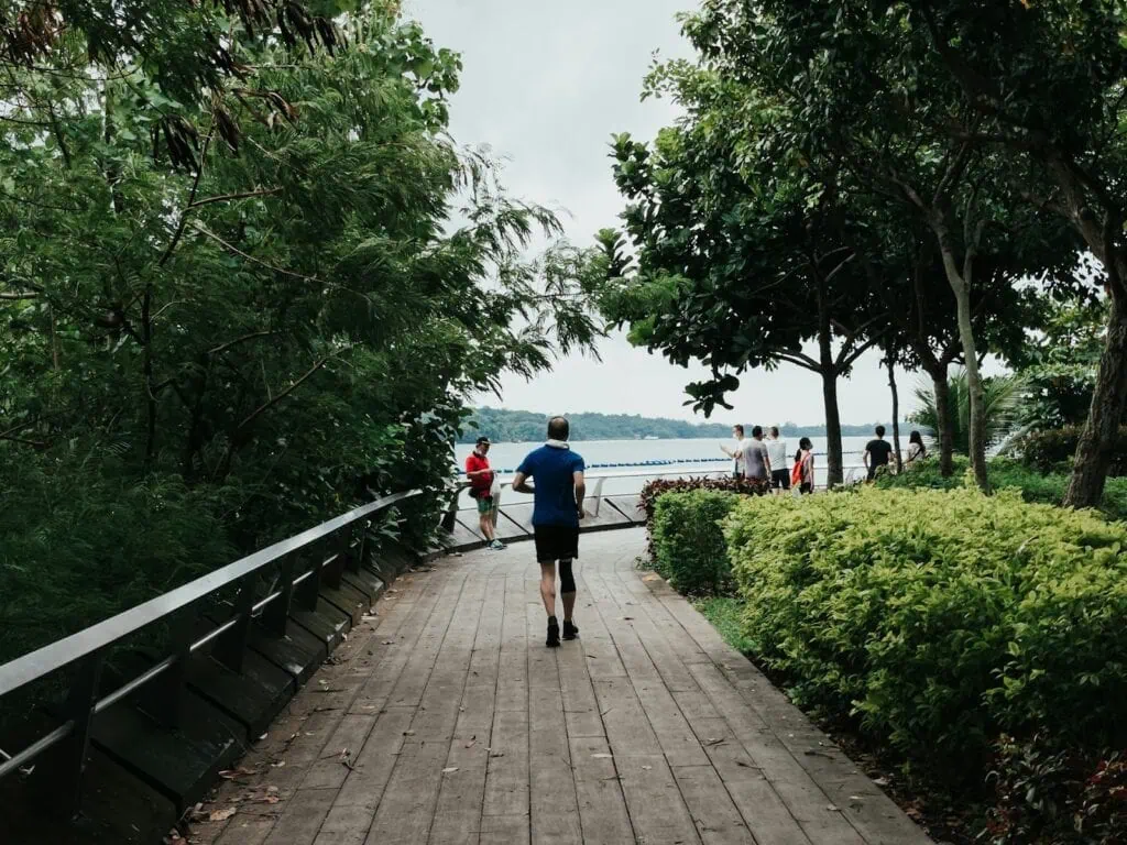 https://unsplash.com/photos/people-walking-on-wooden-pathway-during-daytime-kT0UDQjRKfs?utm_content=creditCopyText&utm_medium=referral&utm_source=unsplash