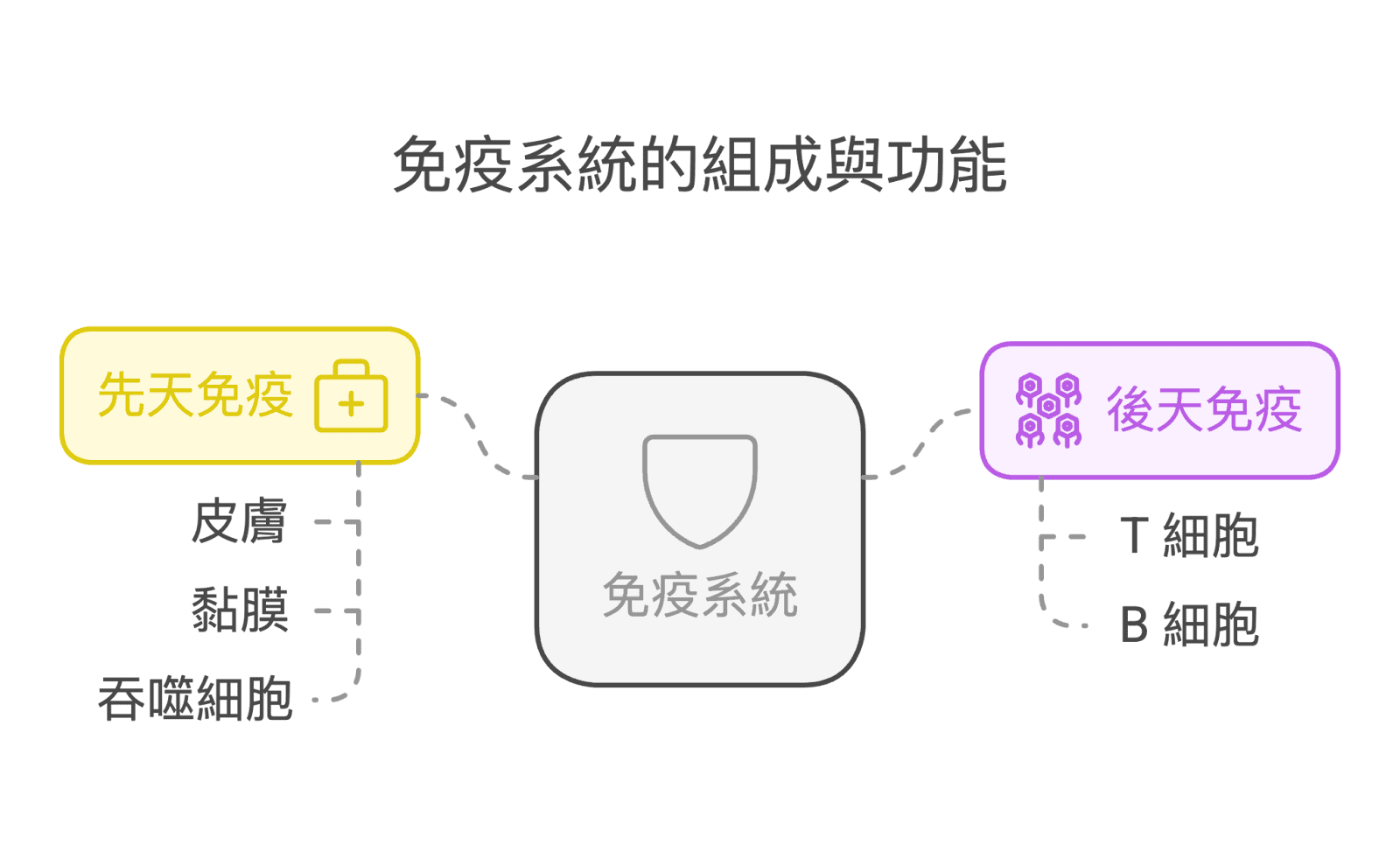 免疫系統, 提升免疫力, 提升免疫力保健食品