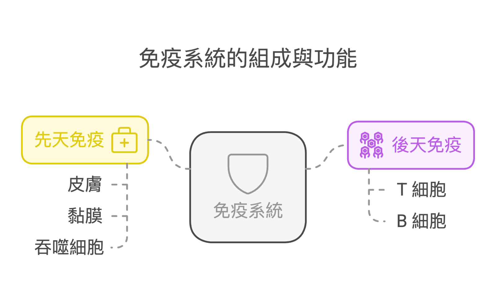 免疫系統, 提升免疫力, 提升免疫力保健食品