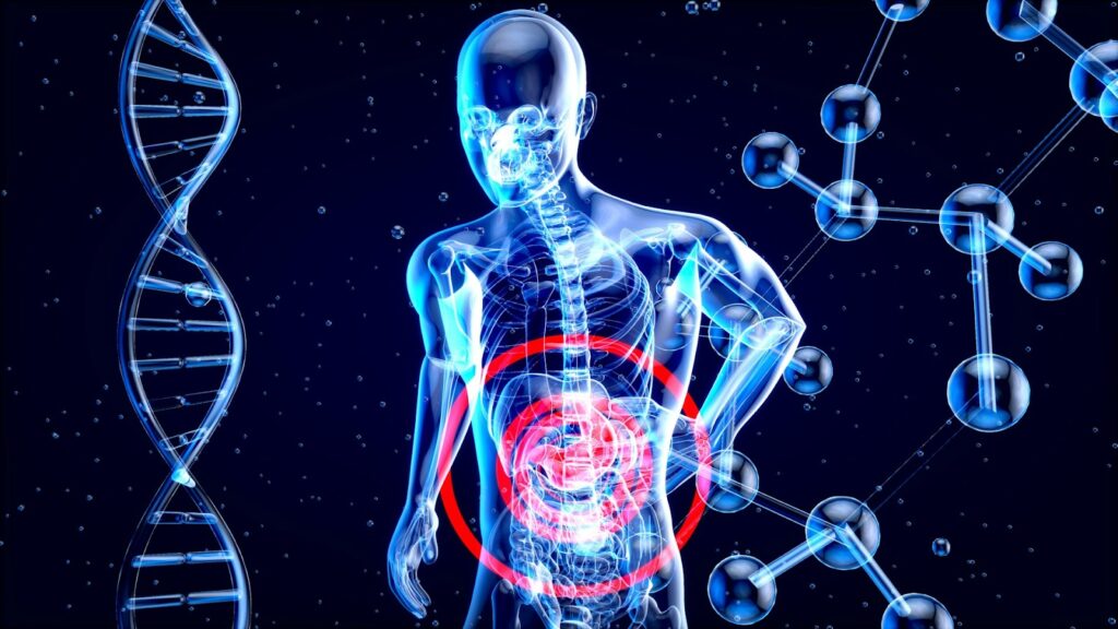 好消化的食物
https://unsplash.com/photos/a-3d-image-of-a-human-with-a-red-circle-in-his-stomach-XChsbHDigQM?utm_content=creditCopyText&utm_medium=referral&utm_source=unsplash