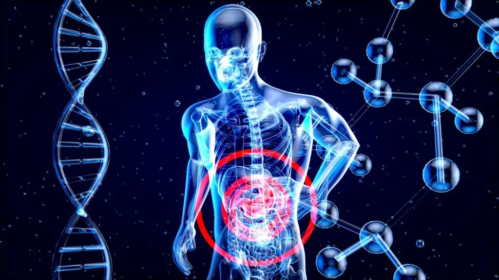 https://unsplash.com/photos/a-3d-image-of-a-human-with-a-red-circle-in-his-stomach-XChsbHDigQM?utm_content=creditCopyText&utm_medium=referral&utm_source=unsplash
