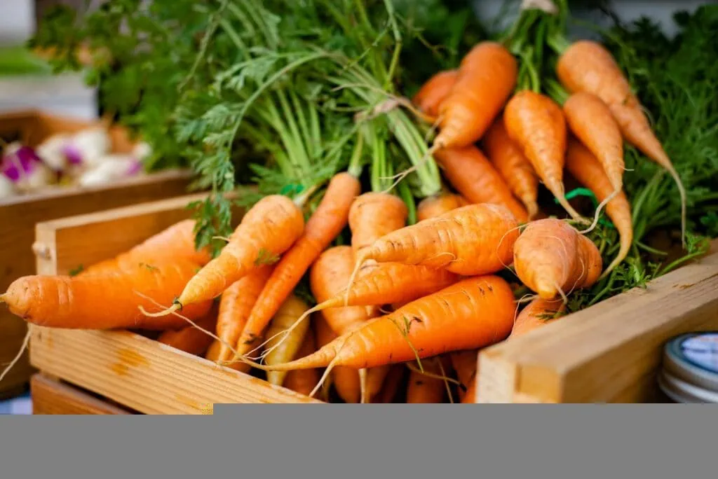 https://unsplash.com/photos/orange-carrots-on-brown-wooden-crate-uidpH617Fb8?utm_content=creditCopyText&utm_medium=referral&utm_source=unsplash